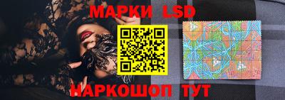 дмт Аргун