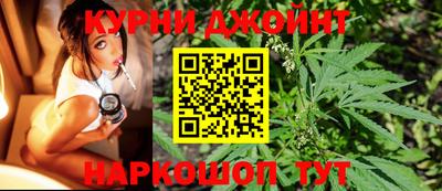 дмт Аргун