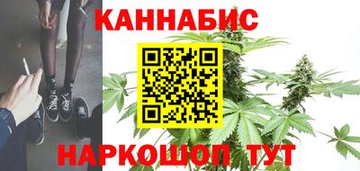 дмт Аргун