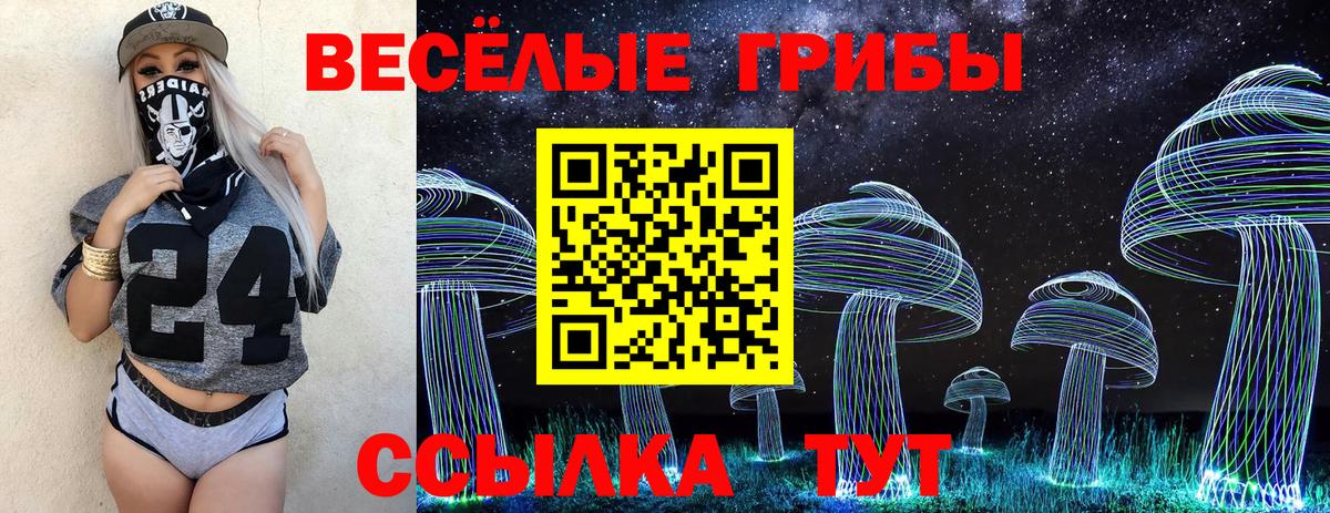 Галлюциногенные грибы прущие грибы Богородицк