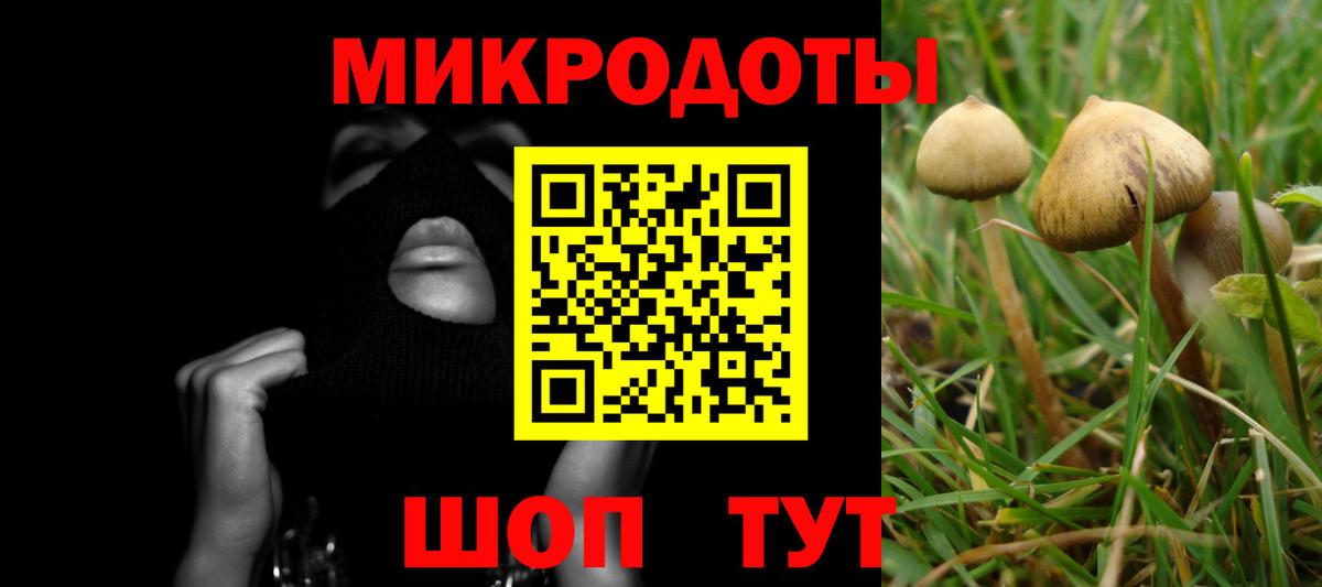 Богородицк  Псилоцибиновые грибы GOLDEN TEACHER  Галлюциногенные грибы прущие грибы  Вход с VPN 